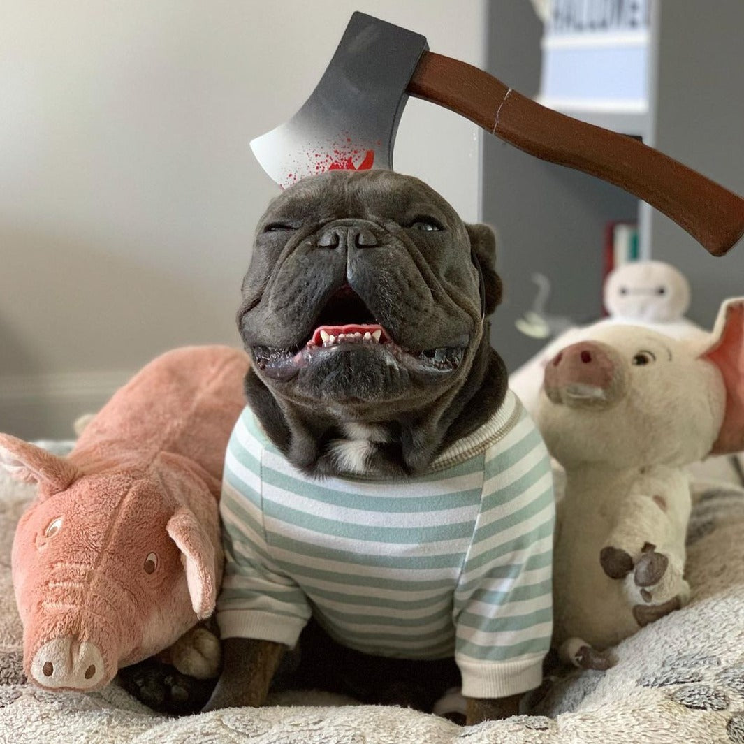 frenchie halloween costumes