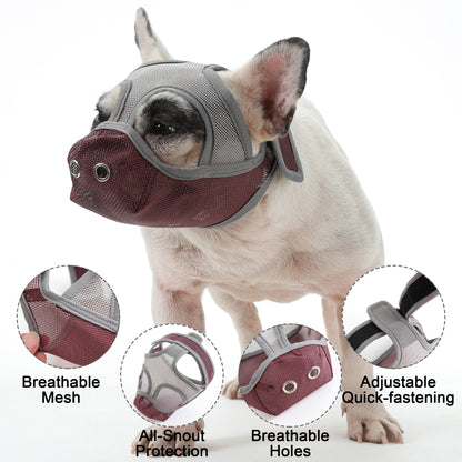 frenchie mask