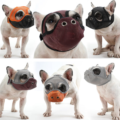 frenchie muzzle