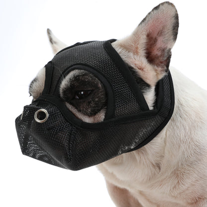 frenchie muzzles