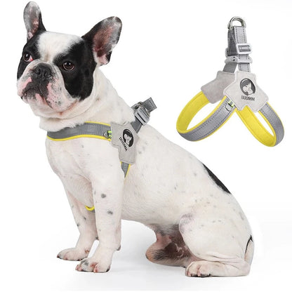 frenchie no pull harness