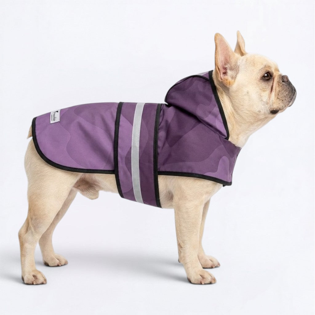 Angel - Reflective Frenchie Poncho