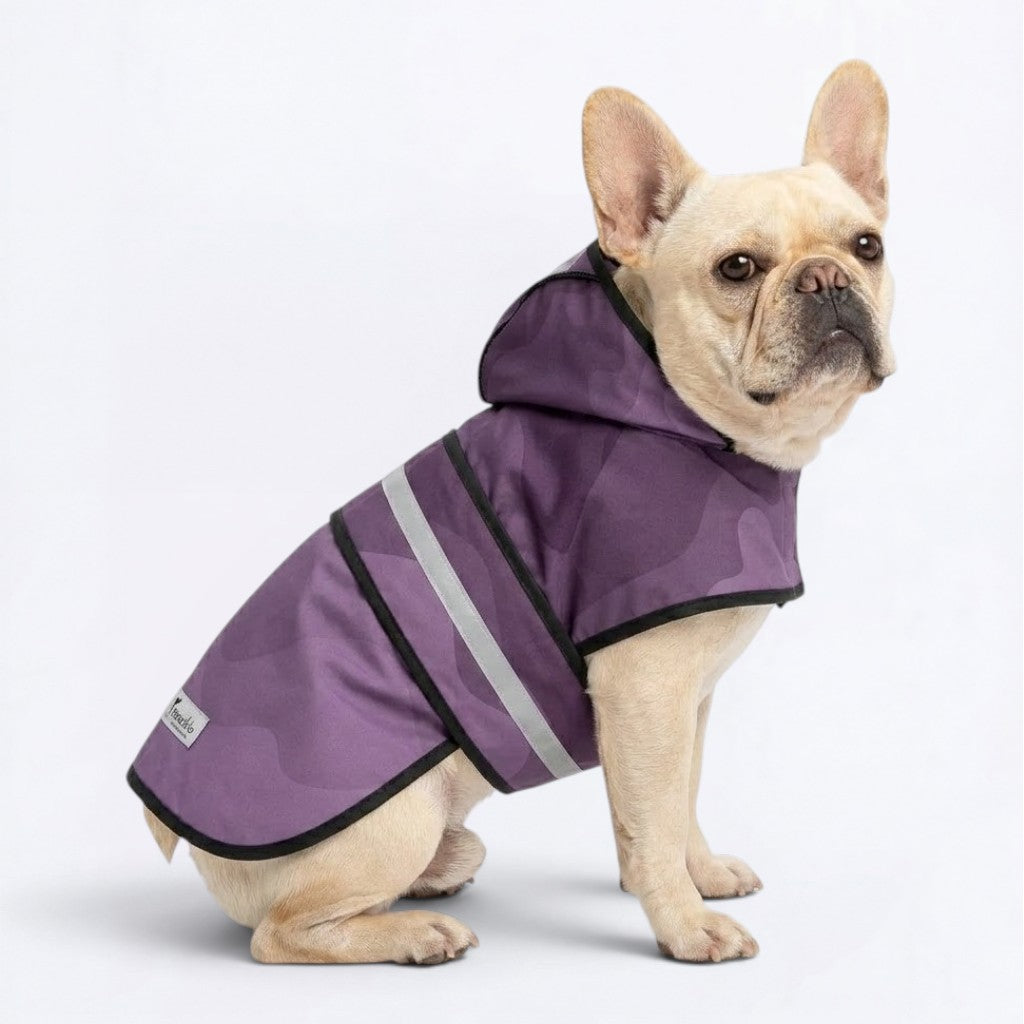 Angel - Reflective Frenchie Poncho