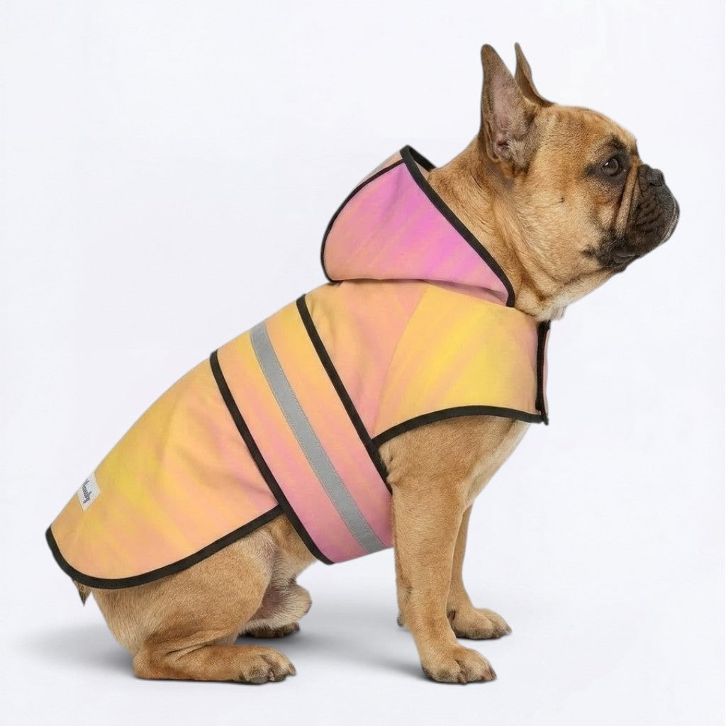 Teddy - Reflective Frenchie Poncho