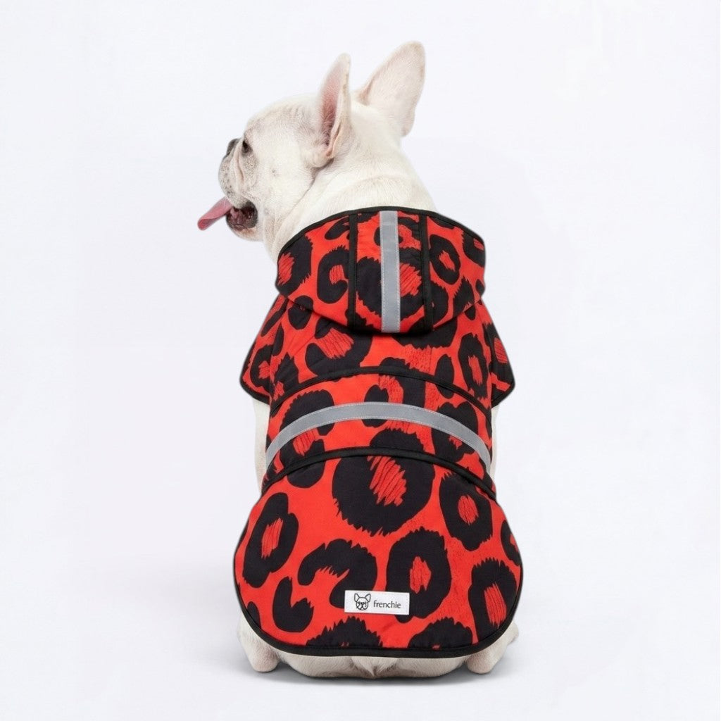 Zeus - Reflective Frenchie Poncho