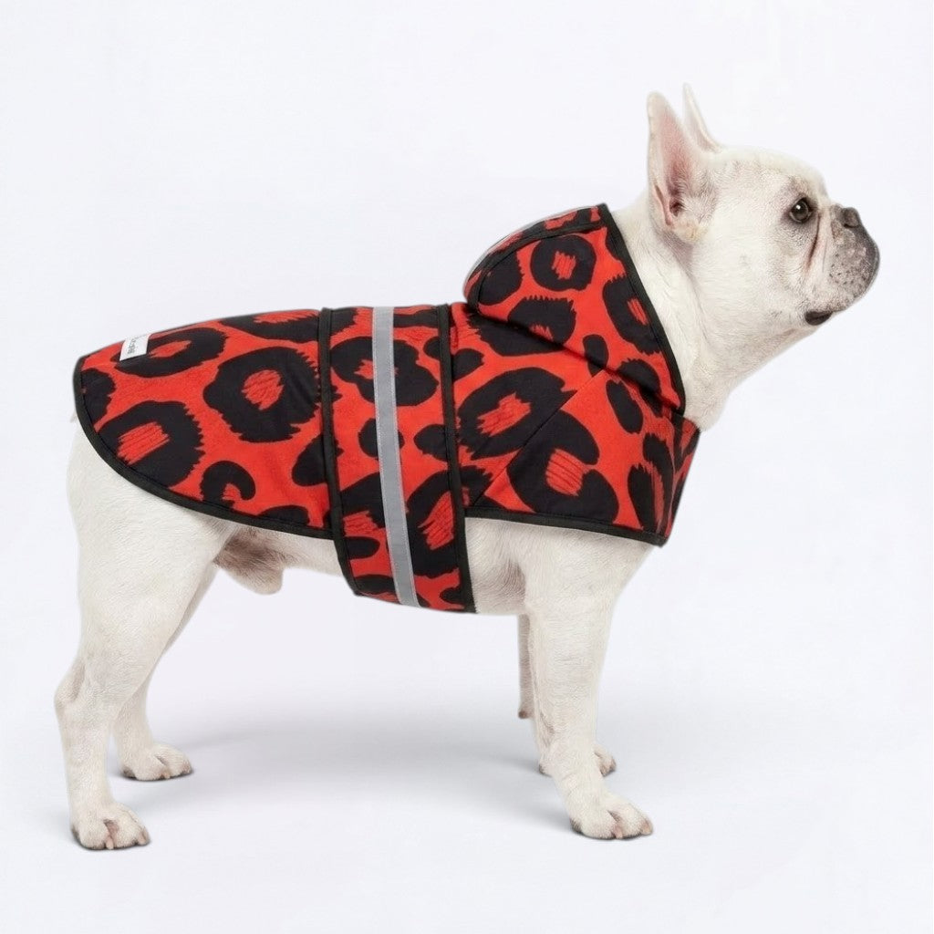 Zeus - Reflective Frenchie Poncho