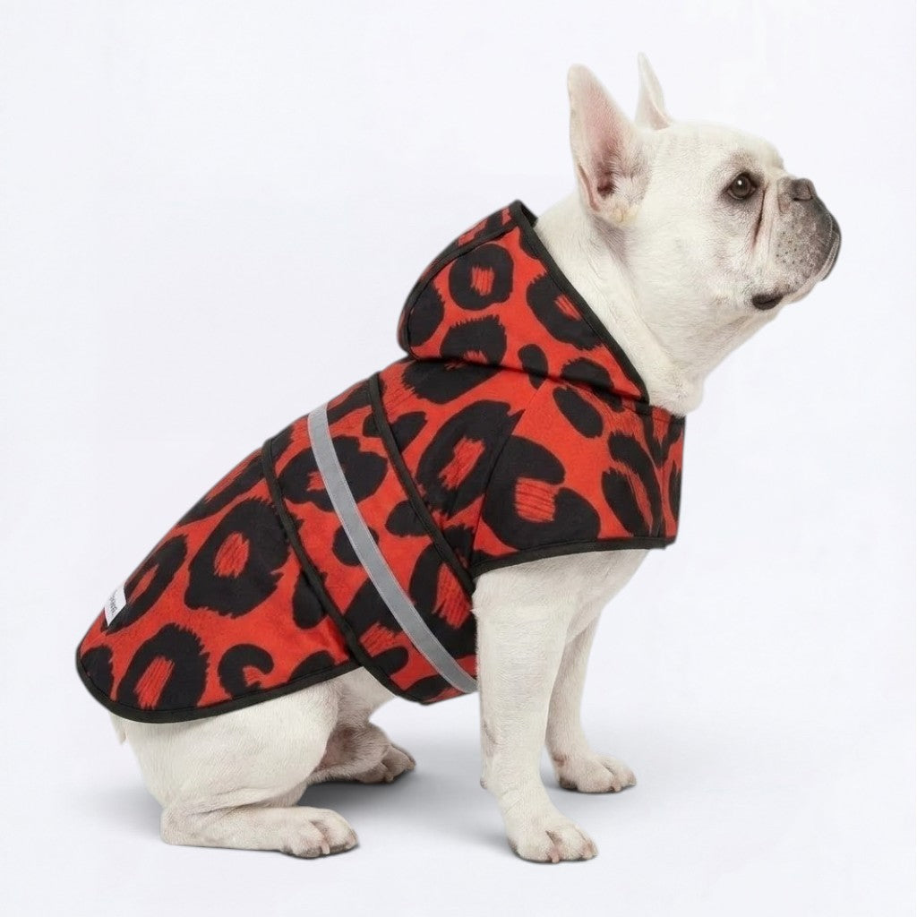 Zeus - Reflective Frenchie Poncho