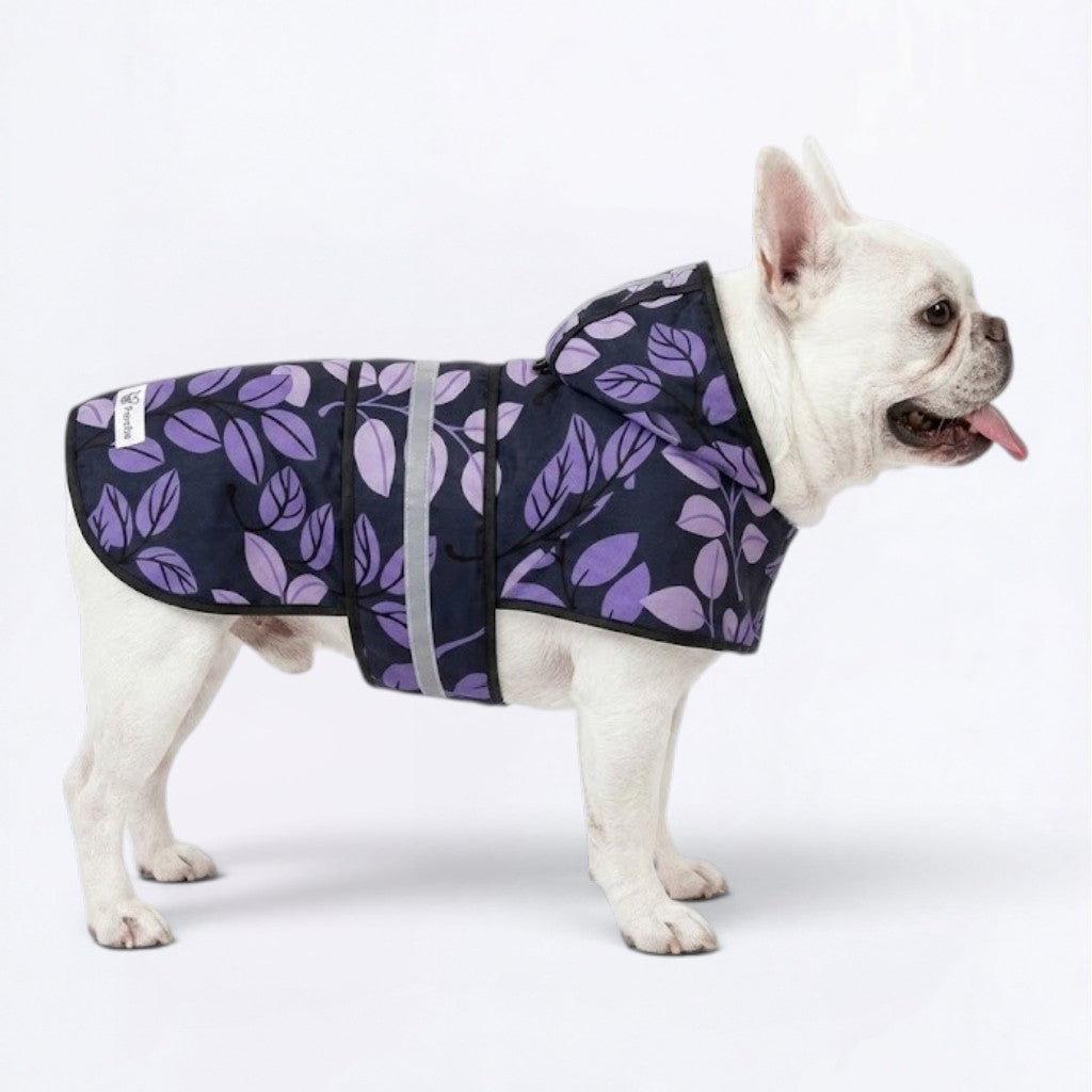 Clover - Reflective Frenchie Poncho