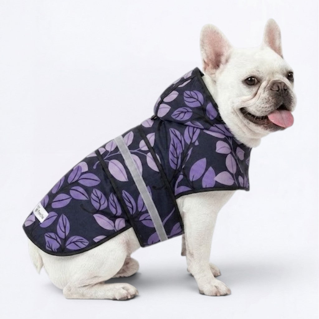 Clover - Reflective Frenchie Poncho