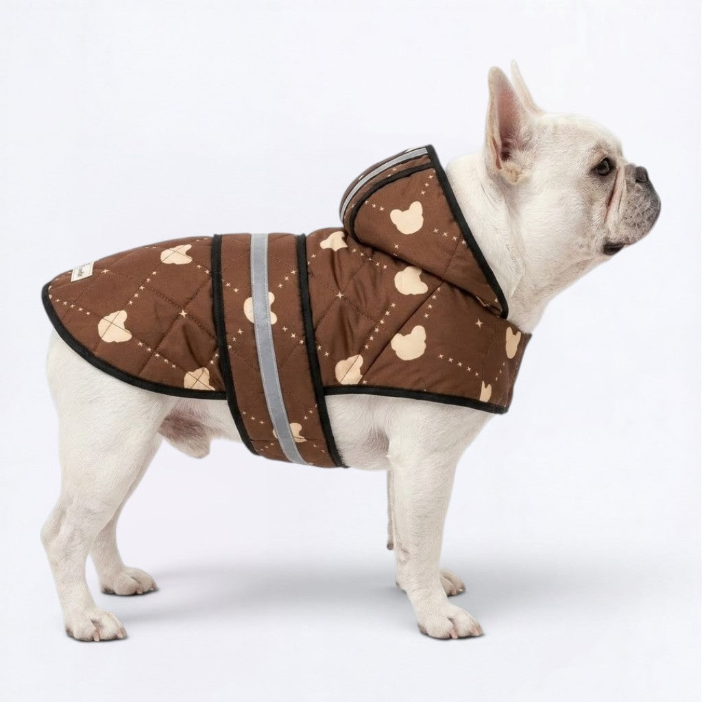 Ivy - Reflective Frenchie Poncho