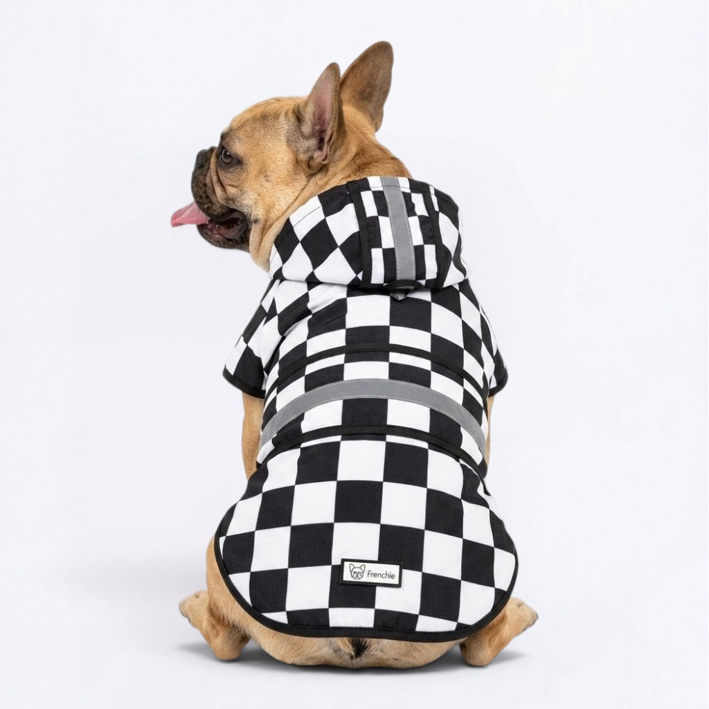 Buddy  - Reflective Frenchie Poncho