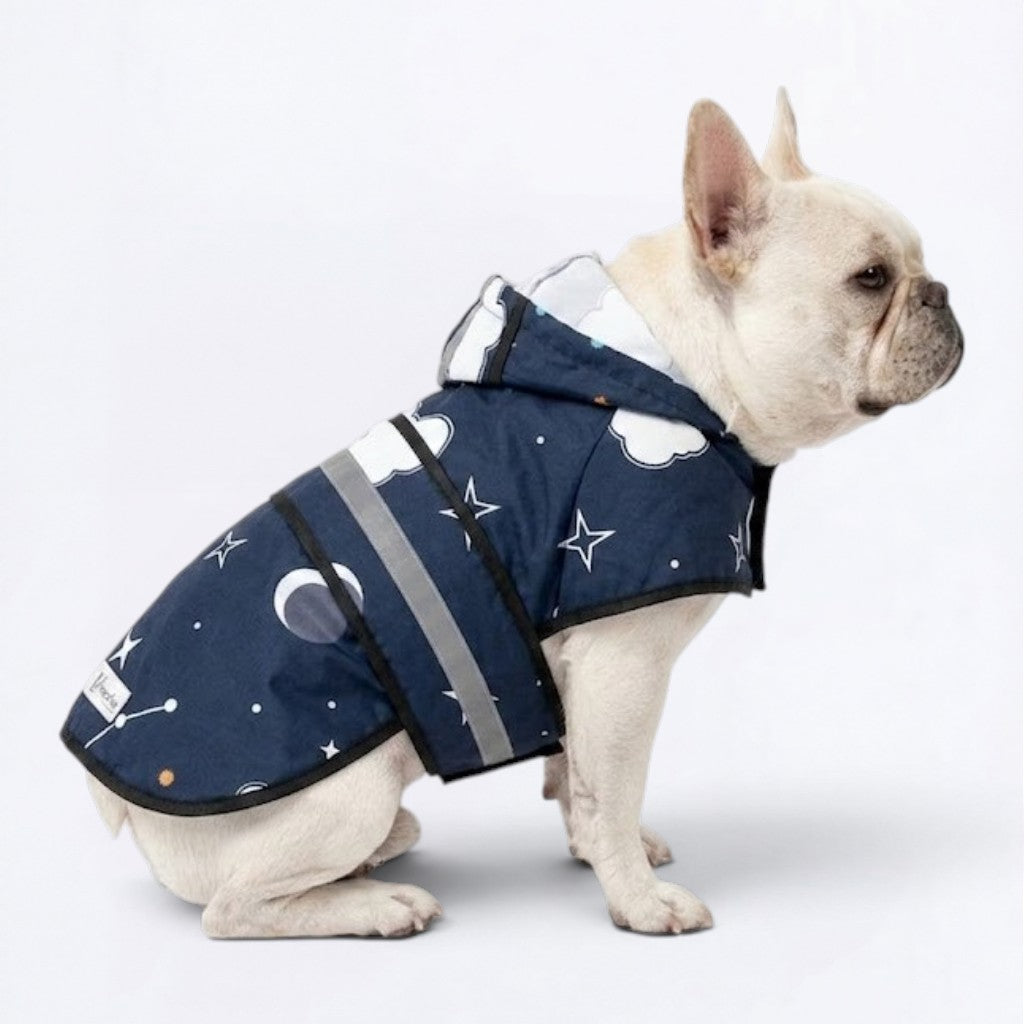 Daisy - Reflective Frenchie Poncho