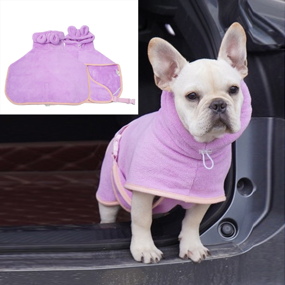 frenchie robe