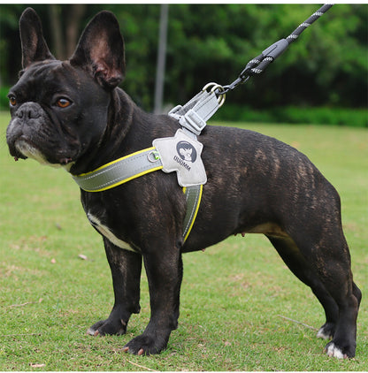 frenchie simple harness
