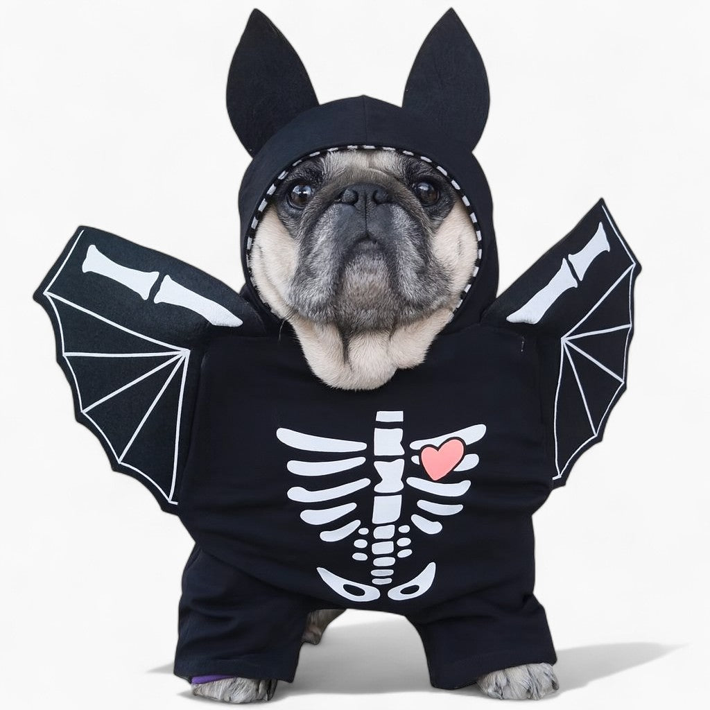 frenchie skeleton Bat halloween Costume