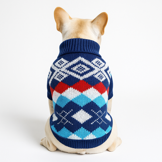 Knitted Winter Sweater for French Bulldog