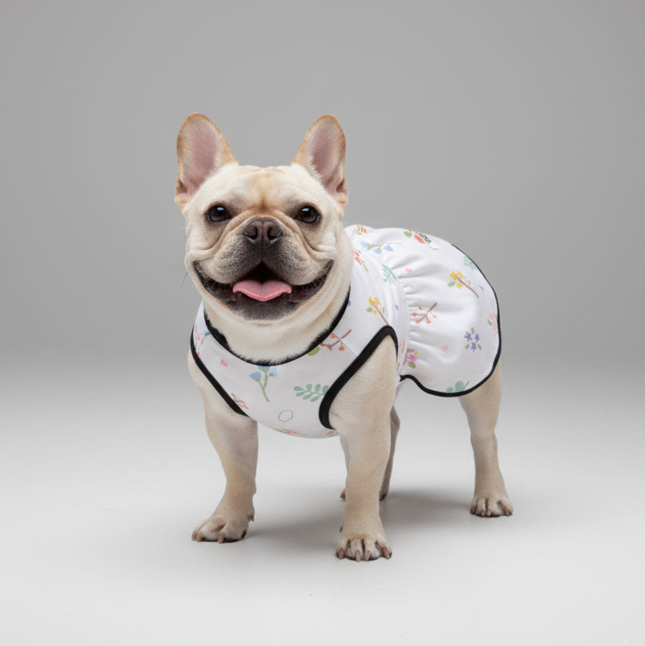 Hazel  - French Bulldog Dresses for Females