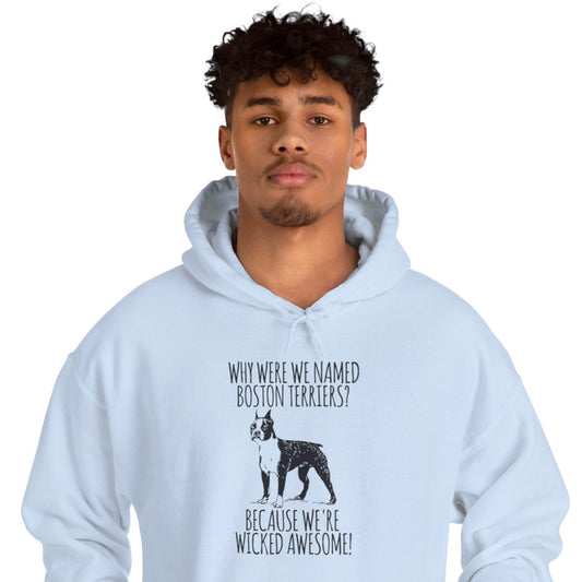 Vector - Unisex Hoodie for Boston Terrier lovers