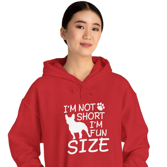 Celtic - Sudadera unisex con capucha para los amantes del Boston Terrier