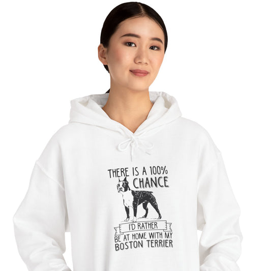 Jaws - Unisex Hoodie for Boston Terrier lovers