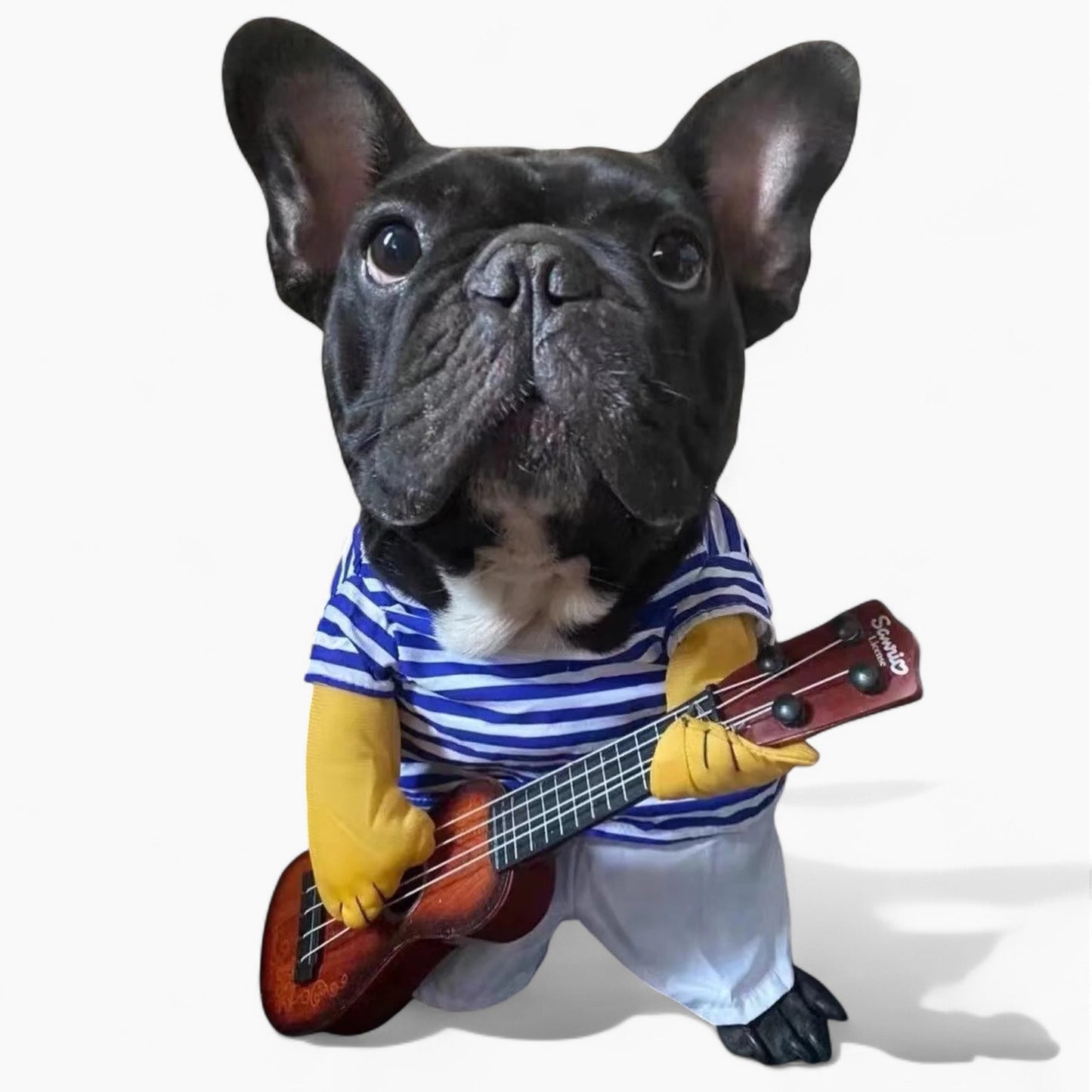 Le guitariste - Halloween personnalisé