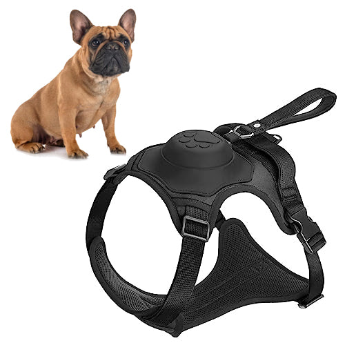 harness and retractable leash set