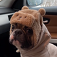 Wool Wonders Frenchie Adorable Winter Hat with Earflaps & Cozy Wool