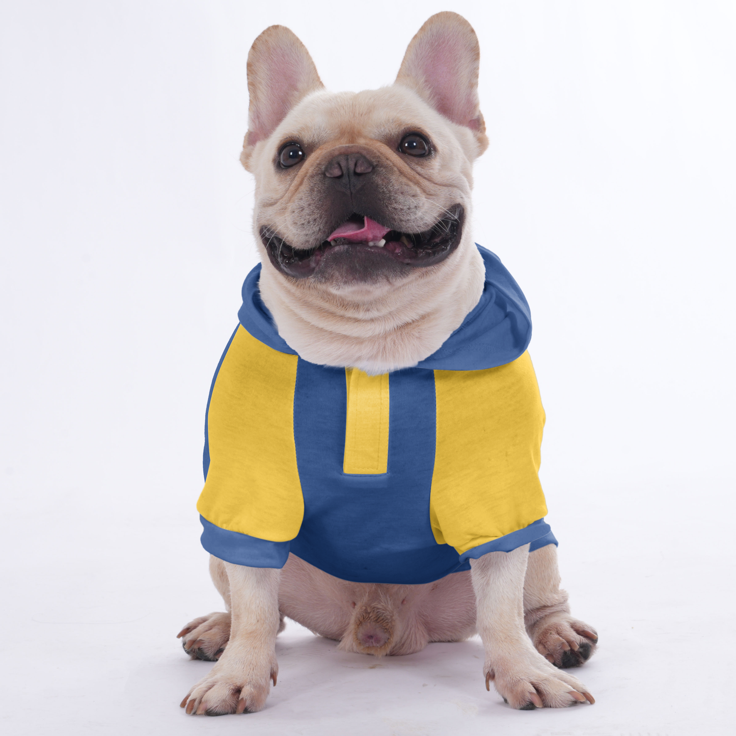 Customizable French Bulldog Hoodies with Your Pet’s Name & Number | Frenchie Shop Original