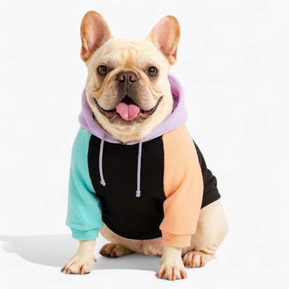 Pawver Frenchie Human Matching Hoodie – Soft Colorblock Loose Fit Sweatshirt for Dog and Owner