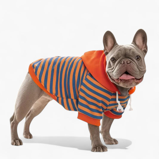 Striplee-French-Bulldog-Hoodie.jpg
