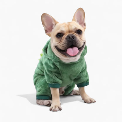 Combinaisons Frenchie élégantes