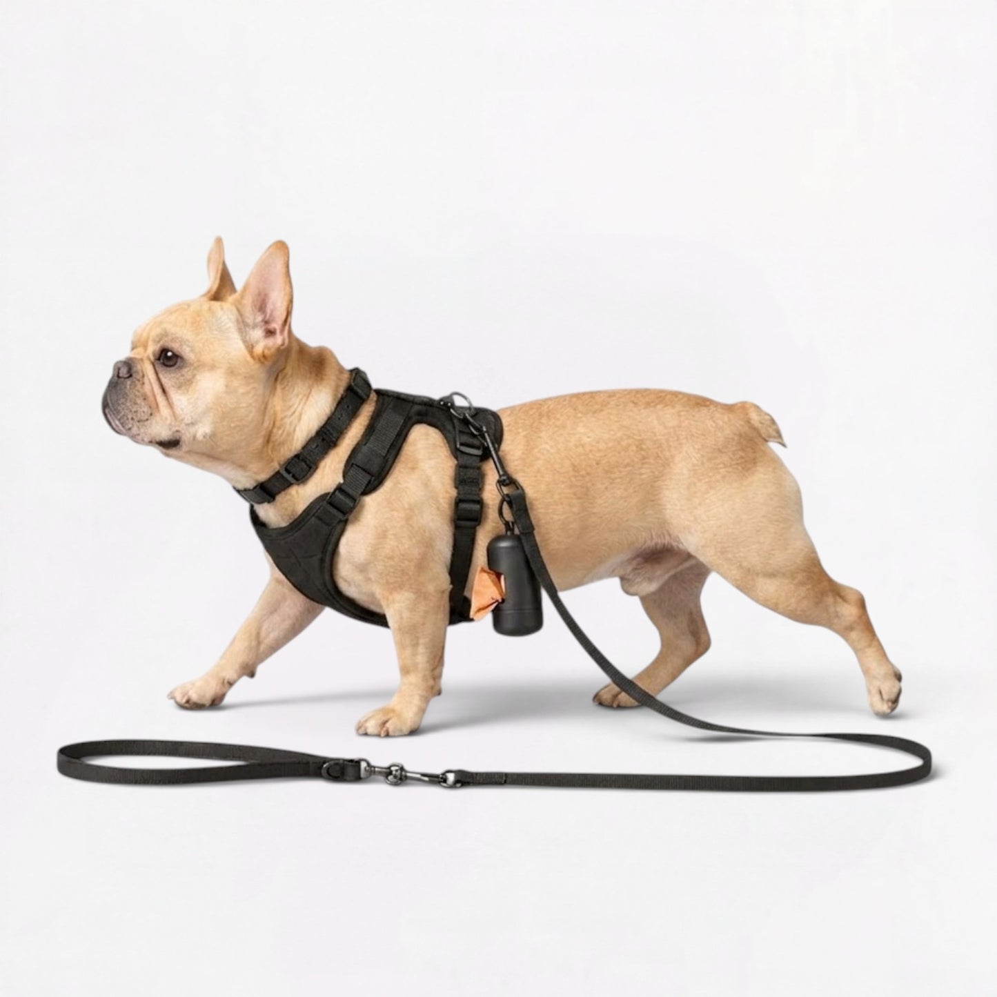 PawFlex Frenchie Soft Neoprene Gear Set - Waterproof Adjustable Harness Set with Leash Collar & Poop Holder