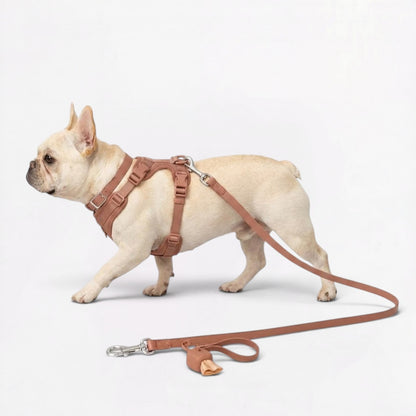 PawFlex Frenchie Soft Neoprene Gear Set - Waterproof Adjustable Harness Set with Leash Collar & Poop Holder