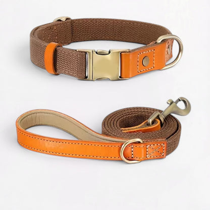 Ensemble harnais et laisse anti-traction pour bouledogue français (WS0223)