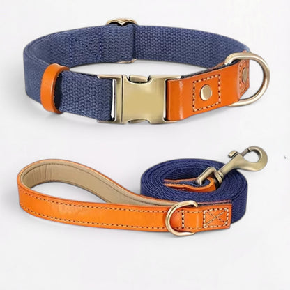 Ensemble harnais et laisse anti-traction pour bouledogue français (WS0223)