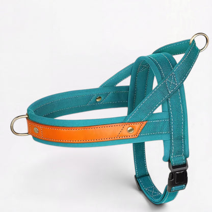 Ensemble harnais et laisse anti-traction pour bouledogue français (WS0223)
