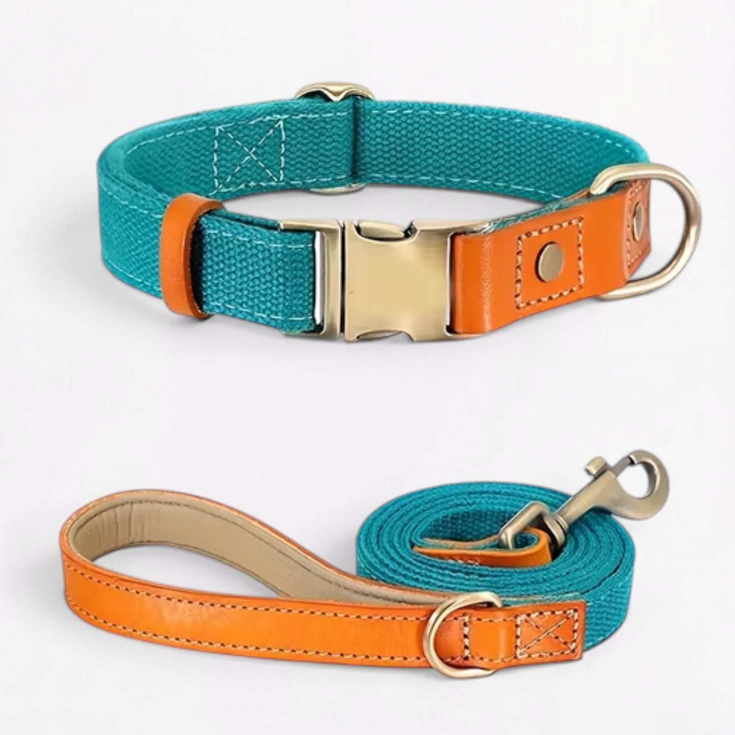 Ensemble harnais et laisse anti-traction pour bouledogue français (WS0223)