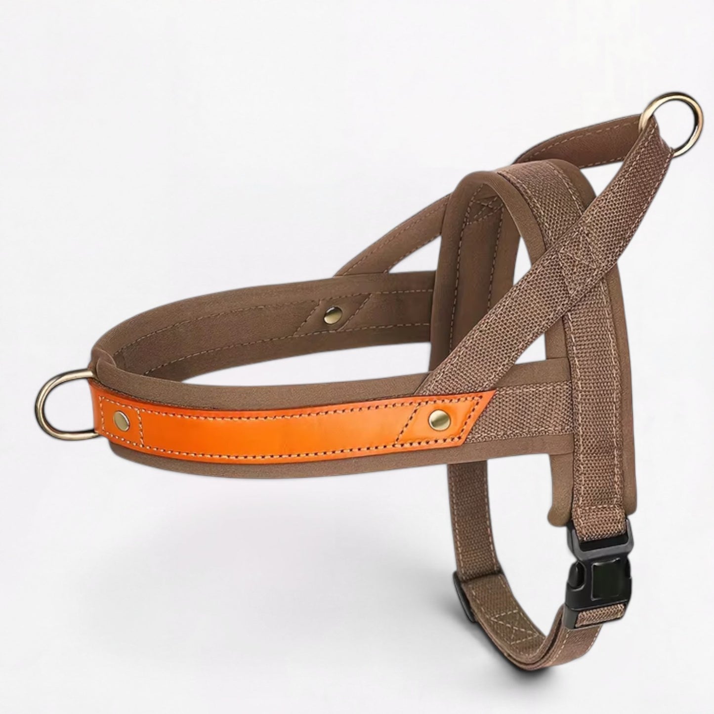 Ensemble harnais et laisse anti-traction pour bouledogue français (WS0223)