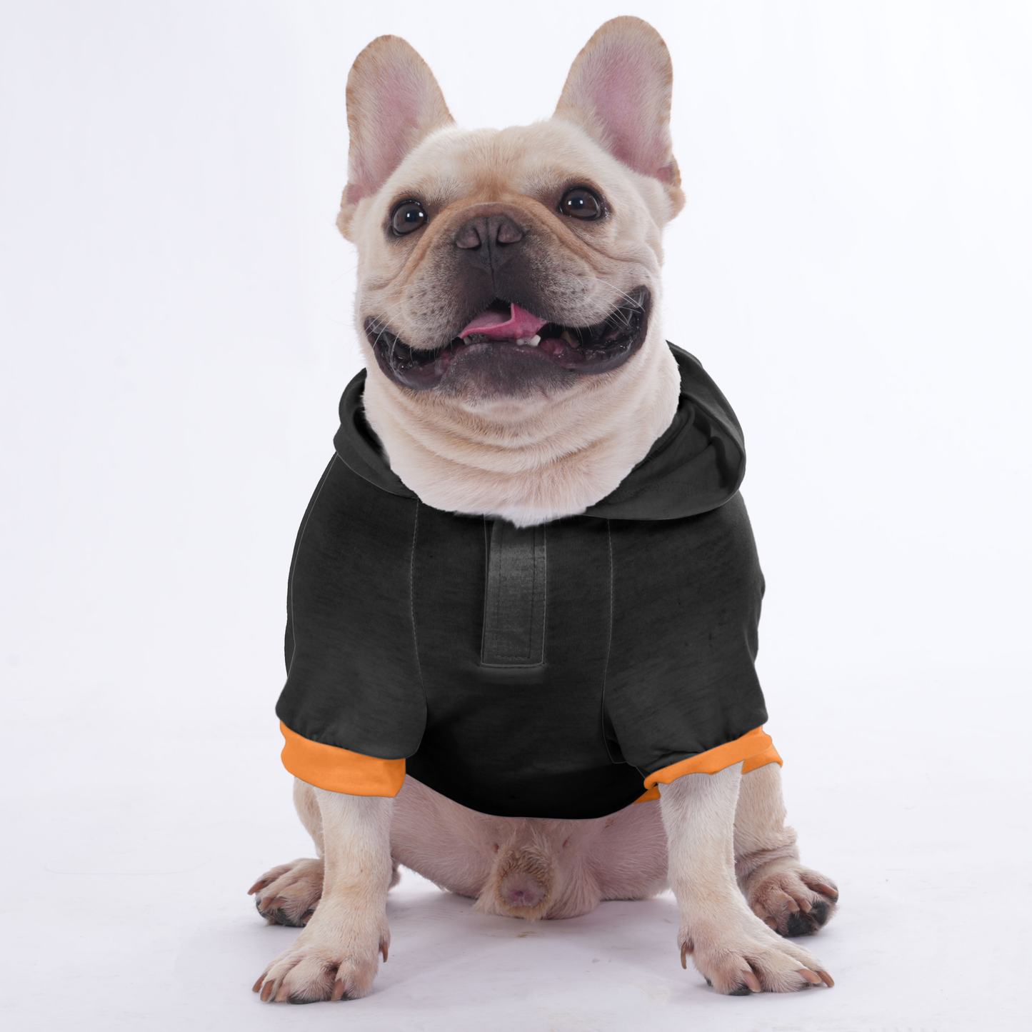 jojo Halloween Hoodies for french bulldog