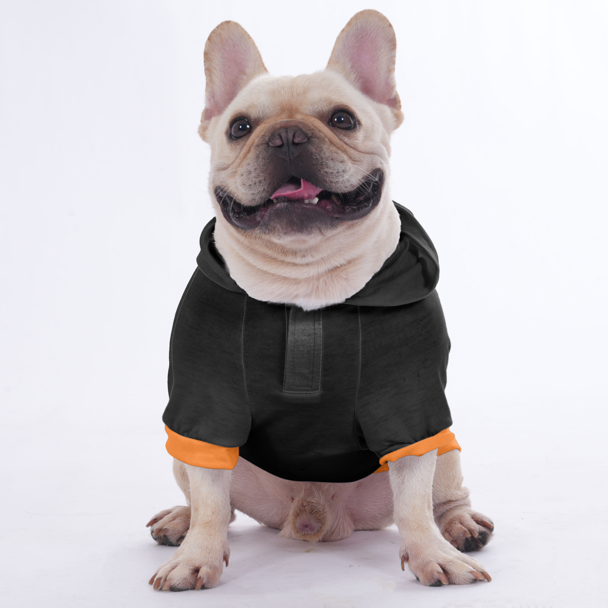 jojo Halloween Hoodies for french bulldog