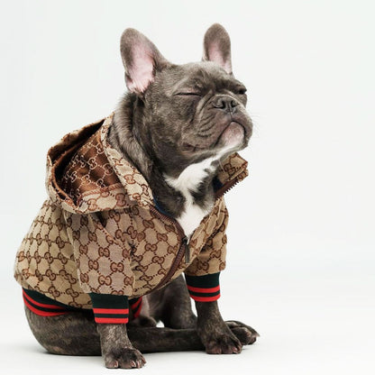 Luxury Jacket for French Bulldog (WS66) - Frenchie Bulldog Shop