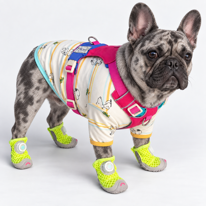 French Bulldog Mesh Shoes – Anti-Slip Swivel Button Footwear for Summer