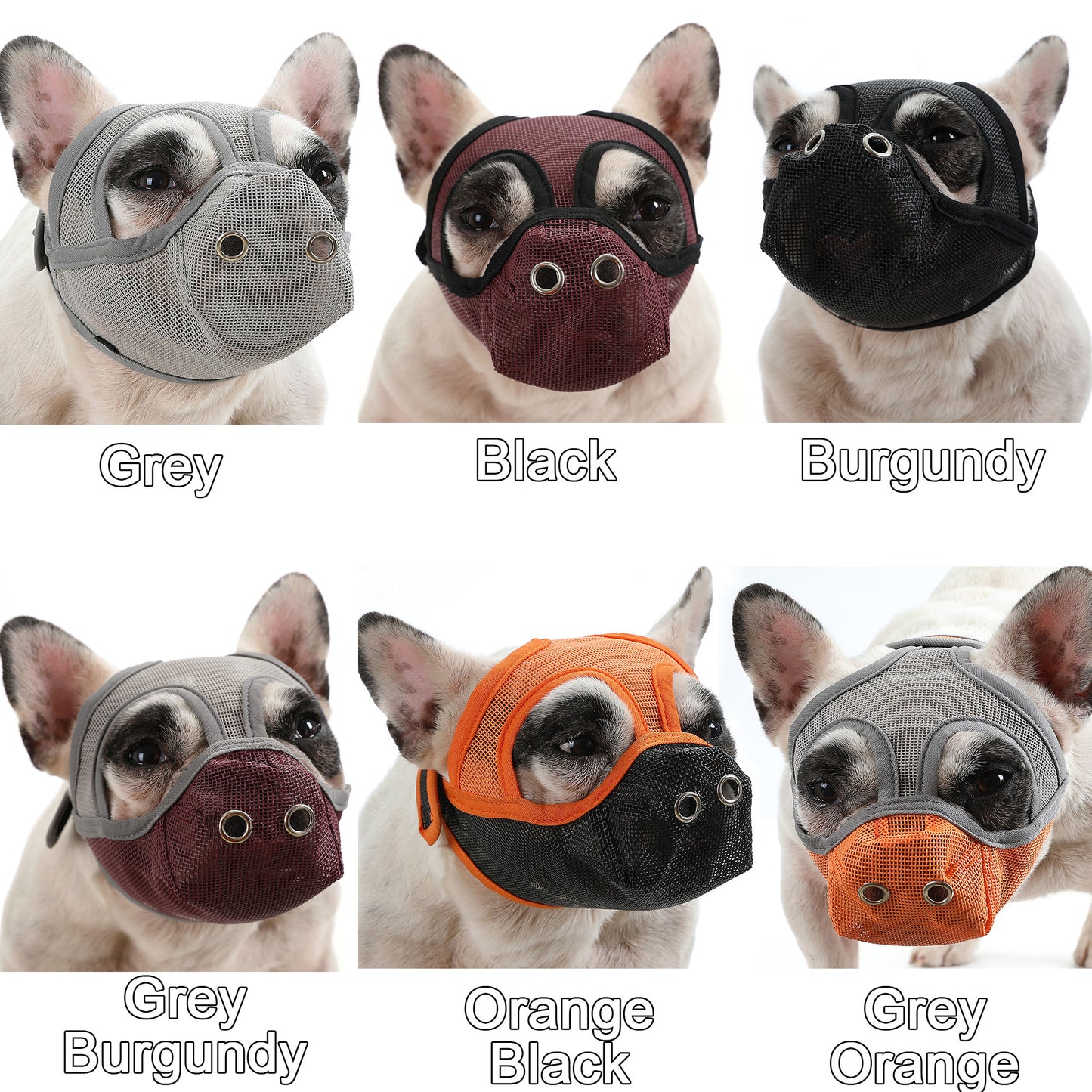 muzzle for a french bulldog