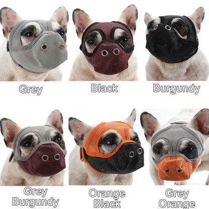 muzzle for a french bulldog