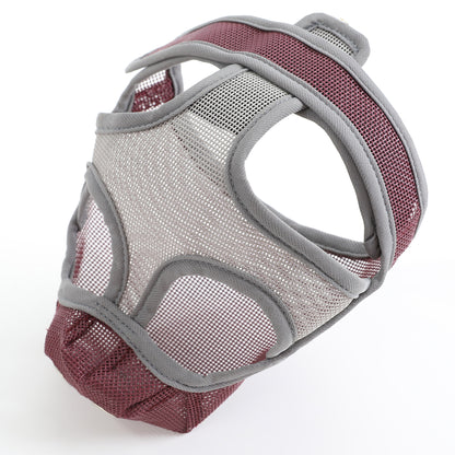 muzzle for french bulldog