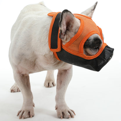 muzzle frenchie