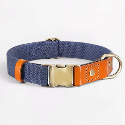 Ensemble harnais et laisse anti-traction pour bouledogue français (WS0223)