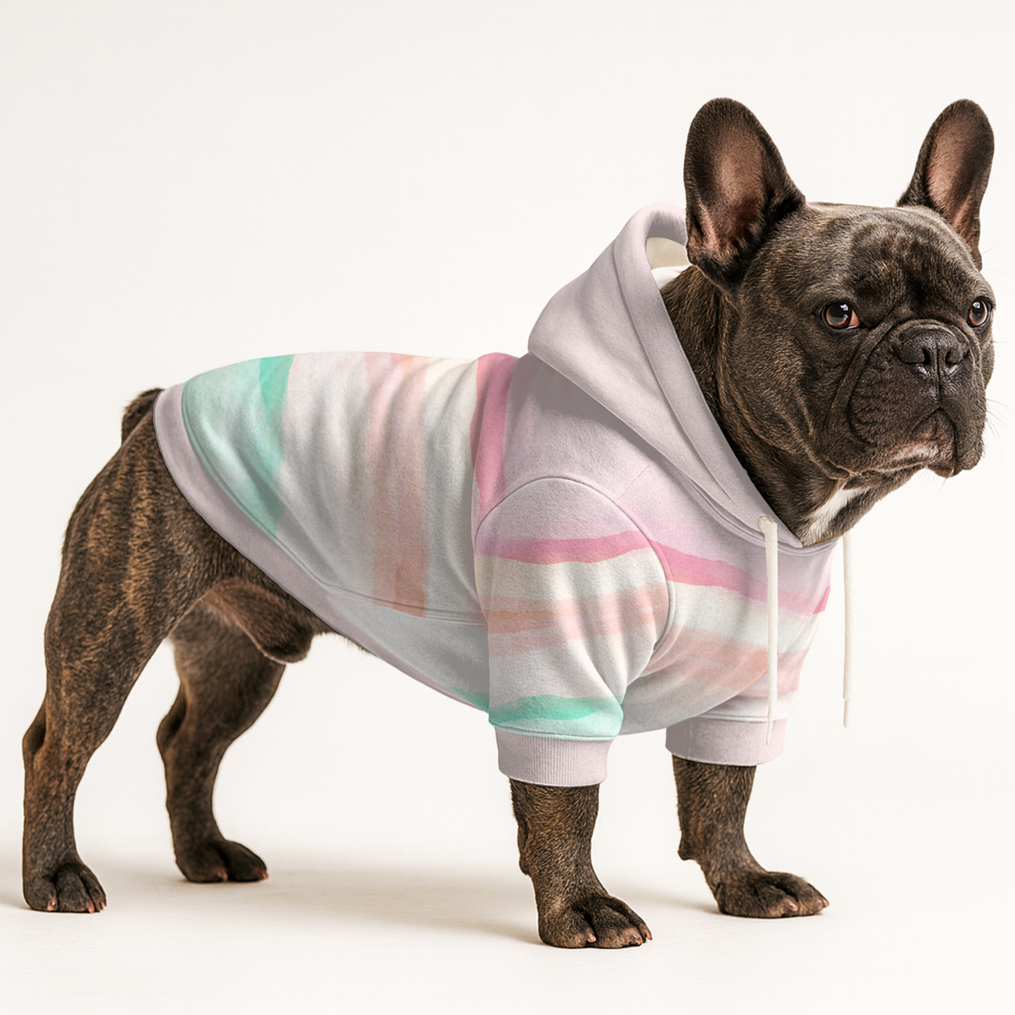 Pippa - Frenchie hoodie