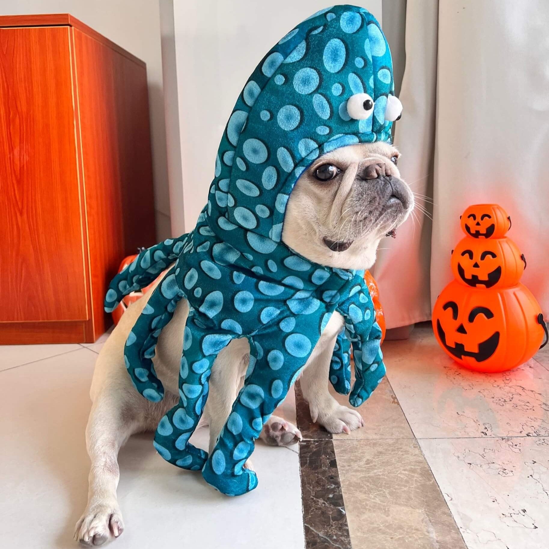 octopus costume for dog