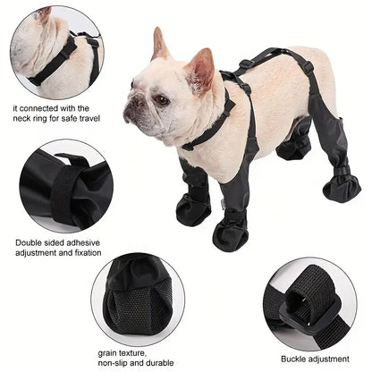 paw protector french bulldog